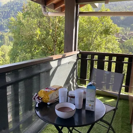 Superbe De Montagne Entierement Renove Apartment *